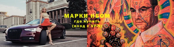 дмт Ростов